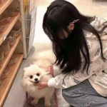 少年魏蜀吴破解版下载